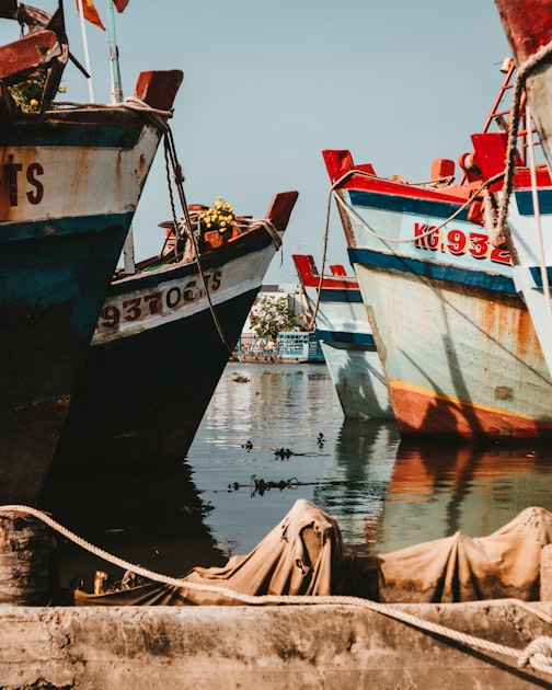 Sport Fishing Adventures Await